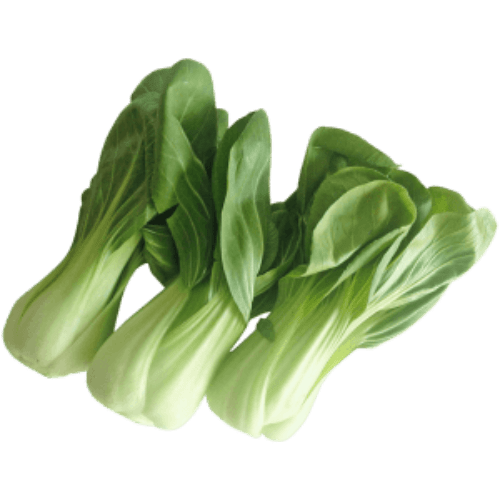 POK CHOI A GRADE 250-300GM