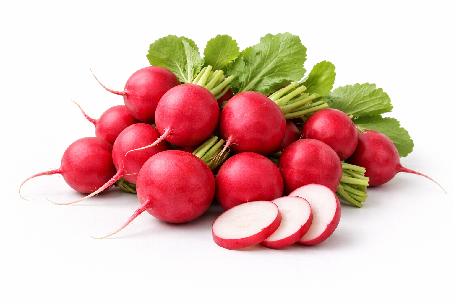 RED RADISH ROUND