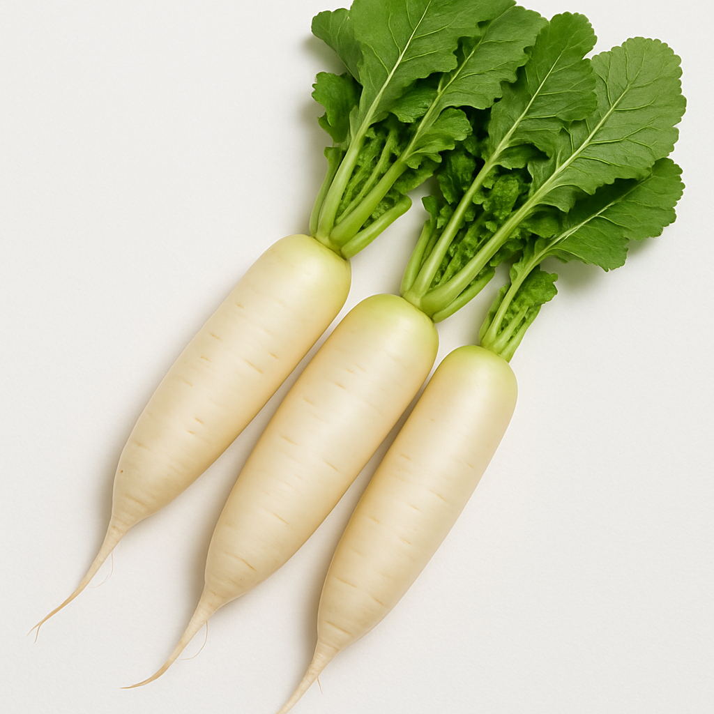 RADISH 300-350g(1pc)
